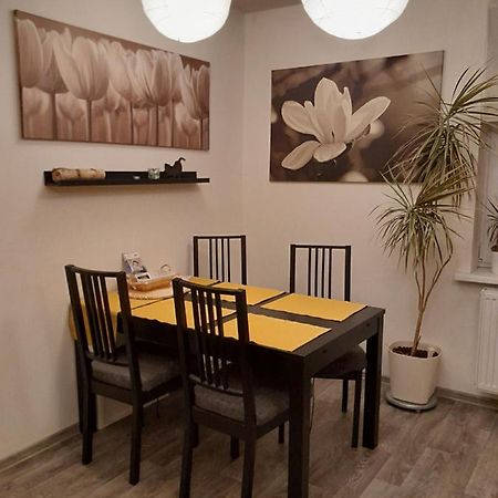 Apartment Riegerovka Cheb Exterior foto