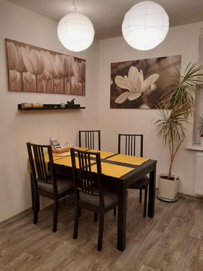 Apartment Riegerovka Cheb Exterior foto