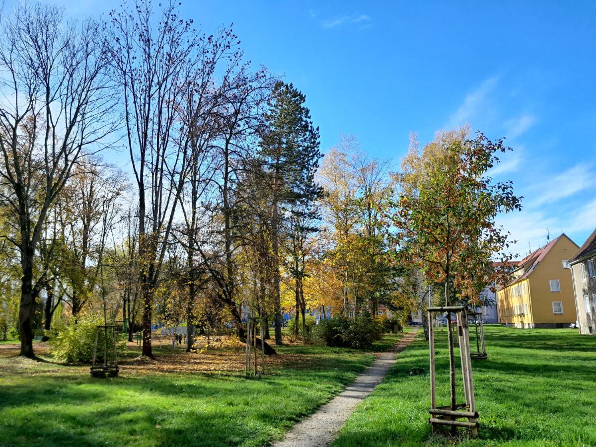 Apartment Riegerovka Cheb Exterior foto